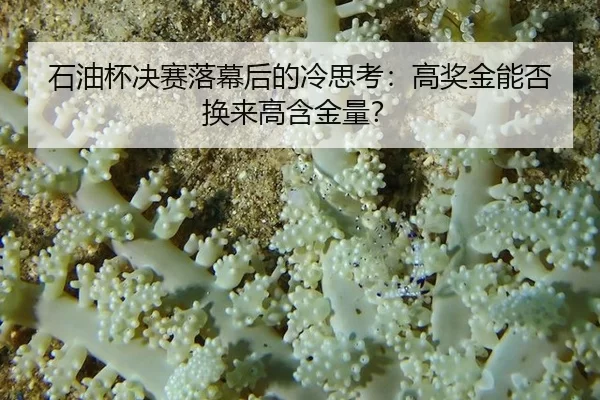 shi-you-bei-jue-sai-luo-mu-hou-de-leng-si-kao-gao-jiang-jin-neng-fou-huan-lai-gao-han-jin-liang-2-558.jpg